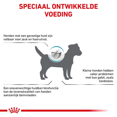 Speciaal ontwikkelde voeding. Honden met een gevoelige huid zijn vatbaar voor jeuk en haaruitval. Kleine honden hebben vaker gebitsproblemen, zoals tandsteen. Onevenwichtige huidbarrière beïnvloedt levenskwaliteit.