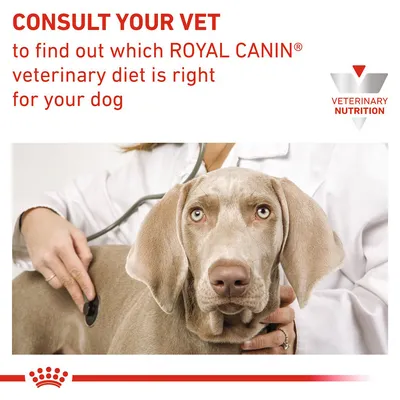 Consult your vet to find out which Royal Canin veterinary diet is right for your dog. Veterinary Nutrition.