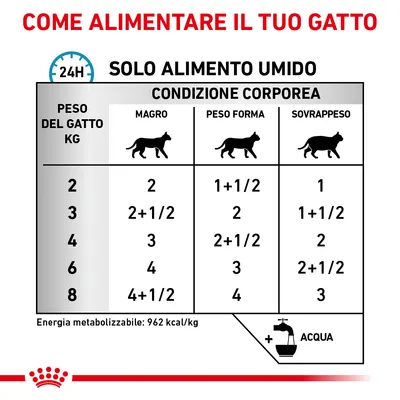 Tabella consigli alimentari per gatti: solo alimento umido, dosi giornaliere in base a peso (2–8 kg) e condizione corporea (magro, peso forma, sovrappeso). Energia 962 kcal/kg. Aggiungere acqua.
