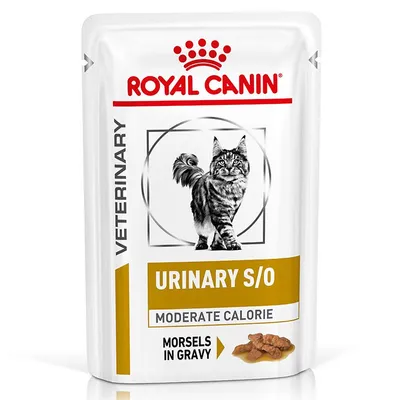 ROYAL CANIN VETERINARY URINARY S/O MODERATE CALORIE Morsels in Gravy cat food pouch, image of a cat and morsels in gravy on front