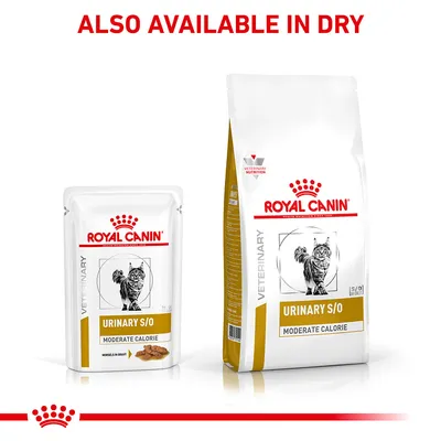 Royal Canin Urinary S/O Moderate Calorie shown in wet and dry forms. Text states: Also available in dry.