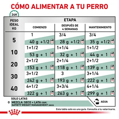 Tabla de alimentación para perros según peso ideal (5–40 kg) y etapa: comienzo, después de 4 semanas y mantenimiento. Incluye cantidades en gramos y latas. Recomendación de agua visible.