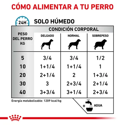 Tabla de raciones diarias de comida húmeda para perros según peso (5–40 kg) y condición corporal (delgado, normal, sobrepeso). Energía metabolizable: 1209 kcal/kg. Añadir agua.