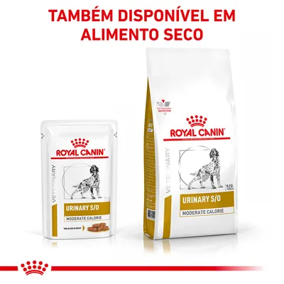 Royal Canin Urinary S/O Moderate Calorie para cães, embalagem húmida e saco de alimento seco. Texto: 'Também disponível em alimento seco'.