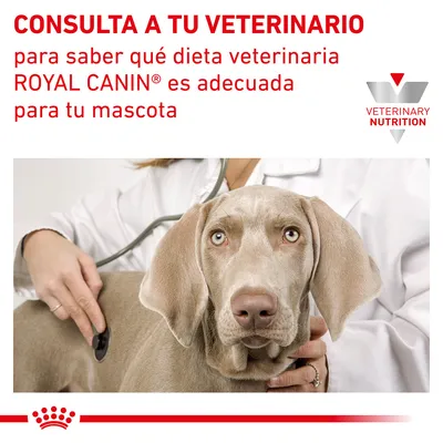 CONSULTA A TU VETERINARIO para saber qué dieta veterinaria ROYAL CANIN es adecuada para tu mascota. VETERINARY NUTRITION.