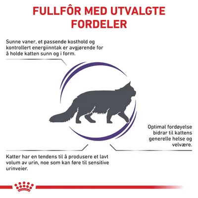 Royal Canin Expert Feline Adult