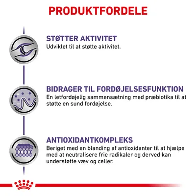 PRODUKTFORDELE: STØTTER AKTIVITET – Udviklet til at støtte aktivitet. BIDRAGER TIL FORDØJELSESFUNKTION – Letfordøjelig sammensætning med præbiotika. ANTIOXIDANTKOMPLEKS – Blanding af antioxidanter.
