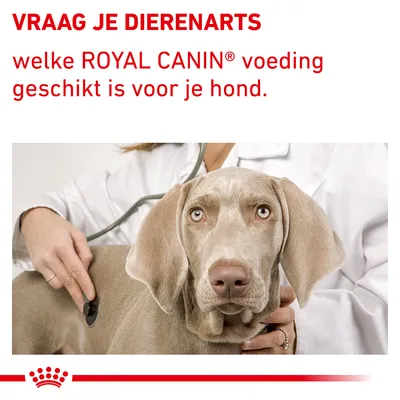 Tekst: VRAAG JE DIERENARTS welke ROYAL CANIN voeding geschikt is voor je hond.