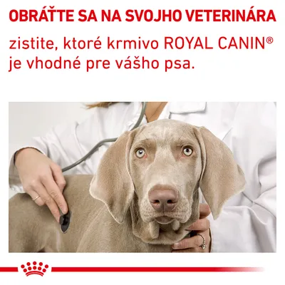 OBRÁŤTE SA NA SVOJHO VETERINÁRA. zistite, ktoré krmivo ROYAL CANIN® je vhodné pre vášho psa.