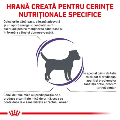 Hrană creată pentru cerințe nutriționale specifice. Câinii de talie mică pot avea probleme orale și sensibilitate urinară. Obiceiuri sănătoase și hrană adecvată sunt esențiale.