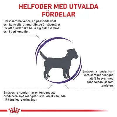 Helfoder med utvalda fördelar: Hälsosamma vanor, kontrollerat energiintag, små hundar kan ha känsligare urinvägar och tandhälsa. Illustration av hund i mitten.