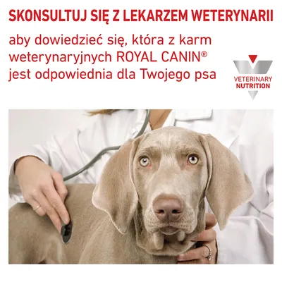 SKONSULTUJ SIĘ Z LEKARZEM WETERYNARII aby dowiedzieć się, która z karm weterynaryjnych ROYAL CANIN jest odpowiednia dla Twojego psa. VETERINARY NUTRITION.