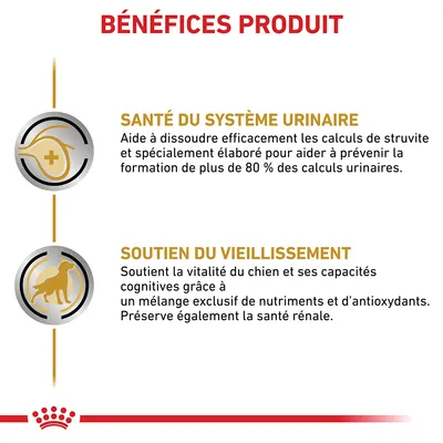 BÉNÉFICES PRODUIT : SANTÉ DU SYSTÈME URINAIRE, aide à dissoudre les calculs de struvite et prévenir leur formation ; SOUTIEN DU VIEILLISSEMENT, vitalité et capacités cognitives du chien.
