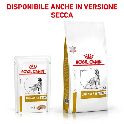 Royal Canin Urinary S/O Ageing 7+ per cani, confezione umida e secca. Testo visibile: DISPONIBILE ANCHE IN VERSIONE SECCA.
