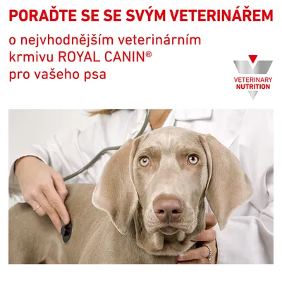 Text: PORAĎTE SE SE SVÝM VETERINÁŘEM o nejvhodnějším veterinárním krmivu ROYAL CANIN pro vašeho psa. VETERINARY NUTRITION. Veterinář poslouchá psa stetoskopem.