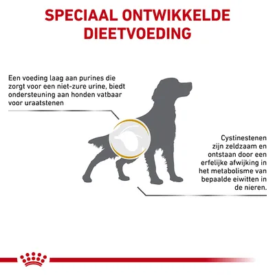 Speciaal ontwikkelde dieetvoeding. Voeding laag aan purines ondersteunt honden vatbaar voor uraatstenen. Cystinestenen ontstaan door erfelijke afwijking in eiwitmetabolisme nieren.