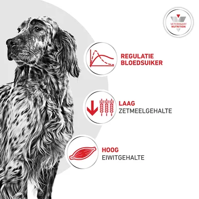 Royal Canin Veterinary Canine Glycobalance