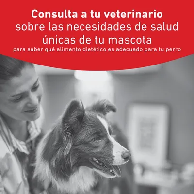 Royal Canin Veterinary Canine Glycobalance Mousse Royal Canin Veterinary Canine Glycobalance Mousse