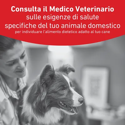 Royal Canin Veterinary Canine Glycobalance Paté Royal Canin Veterinary Canine Glycobalance Paté