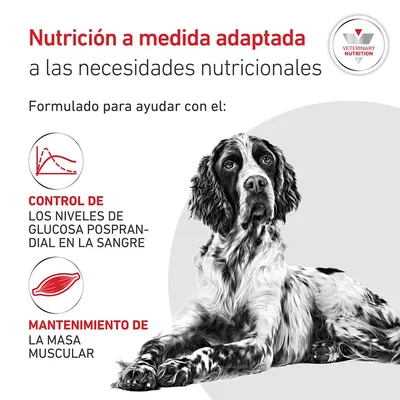 Royal Canin Veterinary Canine Glycobalance Mousse Royal Canin Veterinary Canine Glycobalance Mousse