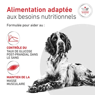 Royal Canin Veterinary Canin Glycobalance Mousse Royal Canin Veterinary Canin Glycobalance Mousse