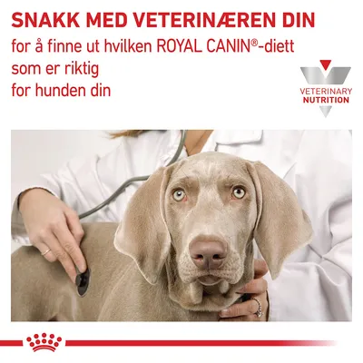 Royal Canin Veterinary Canine Renal i saus Royal Canin Veterinary Canine Renal i saus