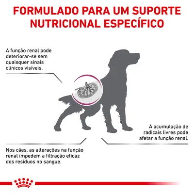 Formulado para um suporte nutricional específico. A função renal pode deteriorar-se sem sinais clínicos visíveis. Alterações renais impedem filtração eficaz. Radicais livres afetam função renal.
