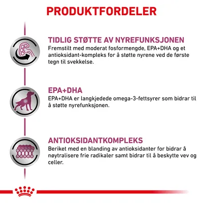 Royal Canin Veterinary Canine Early Renal