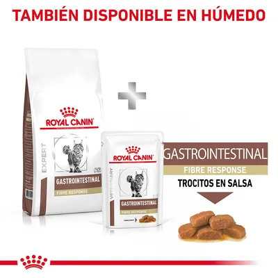 Royal Canin Gastrointestinal Fibre Response para gatos, disponible en seco y húmedo. Texto visible: 'Trocitos en salsa'. Imagen de croquetas húmedas en salsa.