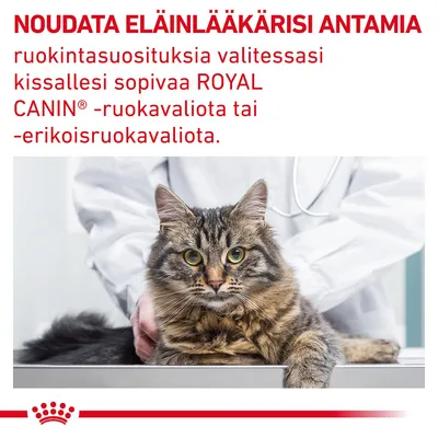 Noudatettava eläinlääkärin antamia ruokintasuosituksia valittaessa kissalle ROYAL CANIN -ruokavaliota tai erikoisruokavaliota. Kuvassa kissa ja eläinlääkäri.