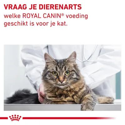 VRAAG JE DIERENARTS welke ROYAL CANIN voeding geschikt is voor je kat.