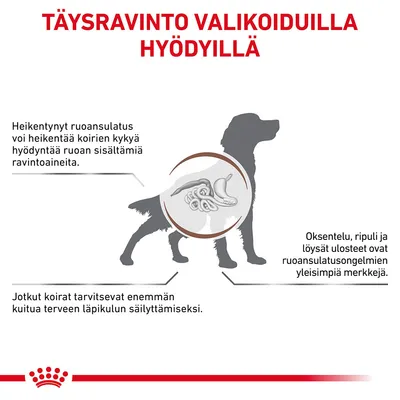 TÄYSRAVINTO VALIKOIDUILLA HYÖDYILLÄ. Heikentynyt ruoansulatus voi heikentää koirien kykyä hyödyntää ravintoaineita. Oksentelu, ripuli ja löysät ulosteet ovat yleisiä merkkejä. Jotkut koirat tarvitsevat enemmän kuitua.