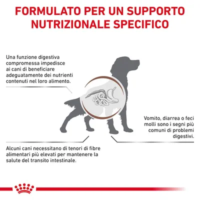 FORMULATO PER UN SUPPORTO NUTRIZIONALE SPECIFICO. Una funzione digestiva compromessa impedisce ai cani di beneficiare dei nutrienti. Vomito, diarrea o feci molli sono segni comuni. Alcuni cani necessitano più fibre.