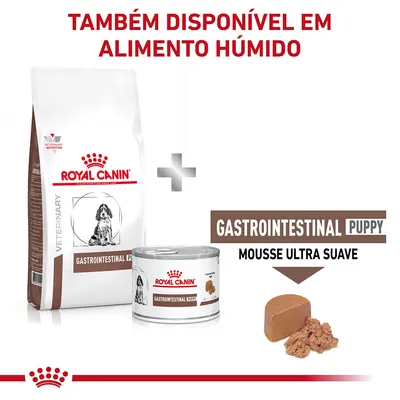 Royal Canin Gastrointestinal Puppy disponível em seco e húmido. Texto: 'TAMBÉM DISPONÍVEL EM ALIMENTO HÚMIDO', 'GASTROINTESTINAL PUPPY MOUSSE ULTRA SUAVE'.