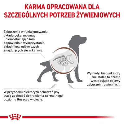 Karma opracowana dla szczególnych potrzeb żywieniowych. Informacje o zaburzeniach trawienia u psów, objawach jak wymioty i biegunka oraz problemach z trawieniem tłuszczu.