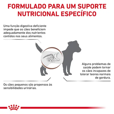 Formulado para um suporte nutricional específico. Uma função digestiva deficiente impede que os cães beneficiem dos nutrientes. Cães pequenos são propensos a sensibilidades urinárias.