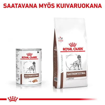 ROYAL CANIN GASTROINTESTINAL LOW FAT märkä- ja kuivaruoka koirille. Teksti: SAATAVANA MYÖS KUIVARUOKANA.