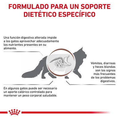 Formulado para un soporte dietético específico. Explicación sobre problemas digestivos en gatos: función digestiva alterada, signos como vómitos y diarrea, necesidad de control calórico.