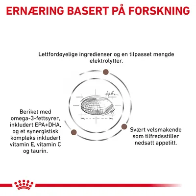 Royal Canin Veterinary Feline Gastrointestinal Moderate Calorie