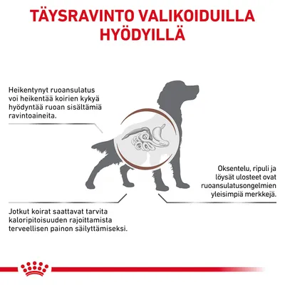 TÄYSRAVINTO VALIKOIDUILLA HYÖDYILLÄ. Heikentynyt ruoansulatus voi heikentää koirien kykyä hyödyntää ravintoaineita. Oksentelu, ripuli ja löysät ulosteet ovat yleisiä merkkejä.