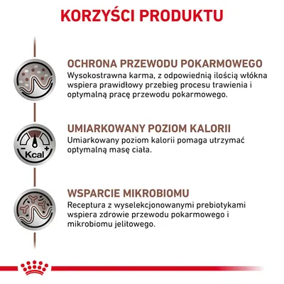 Korzyści produktu: ochrona przewodu pokarmowego, umiarkowany poziom kalorii, wsparcie mikrobiomu. Widoczne opisy i ikony dotyczące trawienia, kalorii oraz mikrobiomu jelitowego.