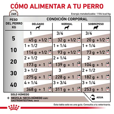 Tabla de alimentación diaria para perros según peso (5–40 kg) y condición corporal: delgado, normal o sobrepeso. Incluye cantidades en gramos y latas. Recomendación de agua y consulta veterinaria.
