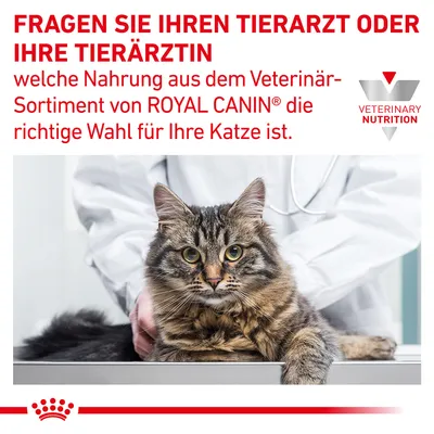 Fragen Sie Ihren Tierarzt oder Ihre Tierärztin, welche Nahrung aus dem Veterinär-Sortiment von Royal Canin die richtige Wahl für Ihre Katze ist. Veterinary Nutrition Logo sichtbar.