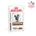 Royal Canin Veterinary Feline Gastrointestinal szószban