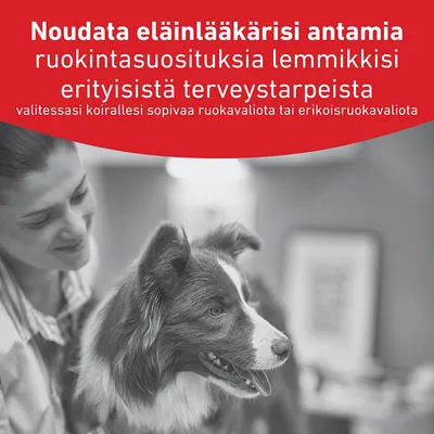 Noudata eläinlääkärisi ruokintasuosituksia, jos lemmikilläsi on erityisiä terveystarpeita. Noudata eläinlääkärisi ruokintasuosituksia, jos lemmikilläsi on erityisiä terveystarpeita.