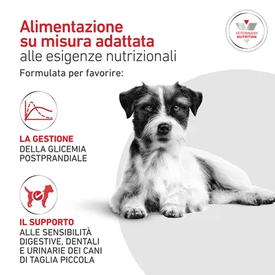 Royal Canin Veterinary Canine Glycobalance Small Dog