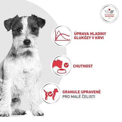 Royal Canin Veterinary Canine Glycobalance Small Dog Royal Canin Veterinary Canine Glycobalance Small Dog