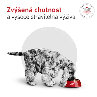 Royal Canin Veterinary Canine Glycobalance Small Dog Royal Canin Veterinary Canine Glycobalance Small Dog