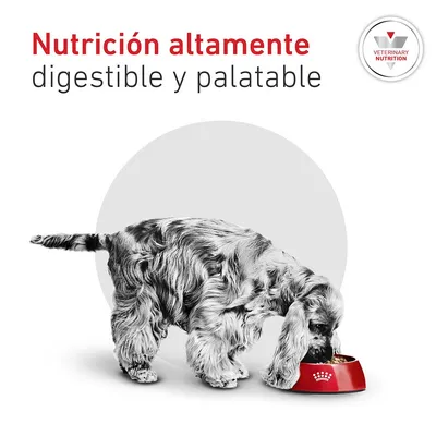 Royal Canin Veterinary Canine Glycobalance Small Dog