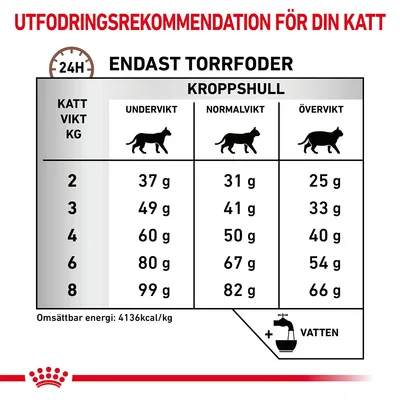Utfodringsrekommendation för katt: tabell med daglig mängd torrfoder i gram för olika vikter (2–8 kg) och kroppshull (undervikt, normalvikt, övervikt). Vatten rekommenderas.